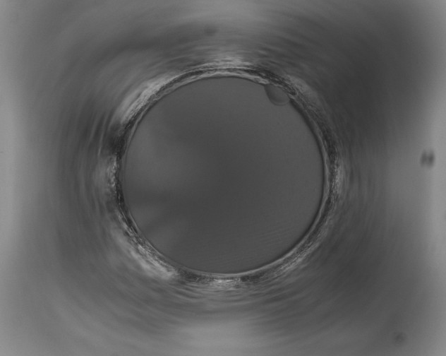 X0000114621161200911101208
