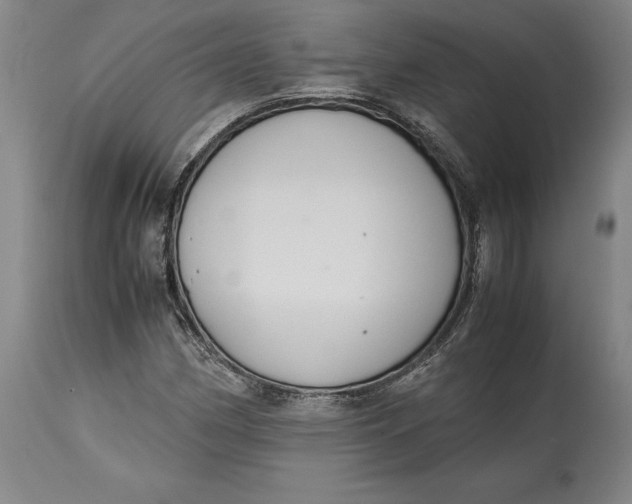X0000114621162200911101208