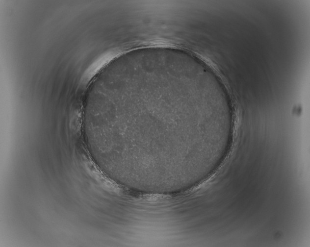 X0000114621163200911101208