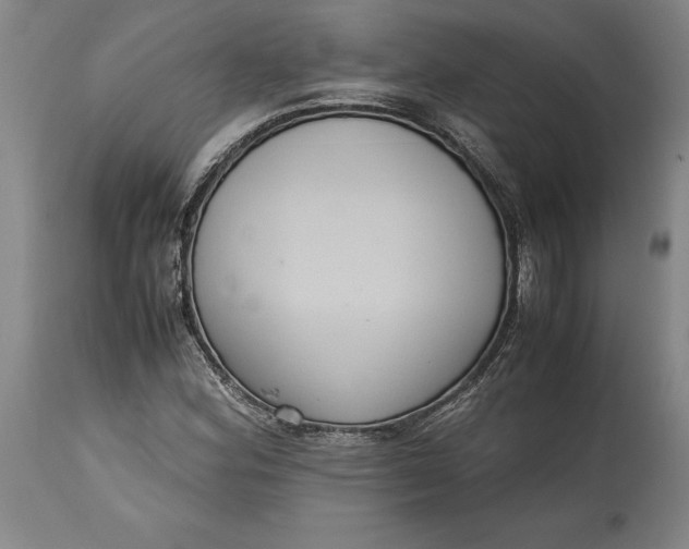 X0000114621164200911101208
