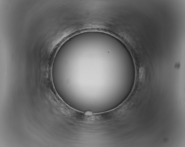 X0000114621165200911101208