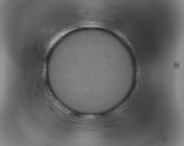 X0000114621167200911101208