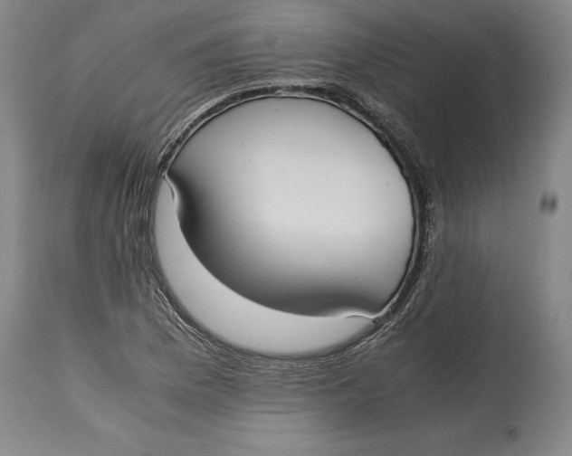 X0000114621169200911101208