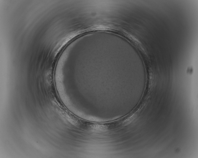 X0000114621170200911101208