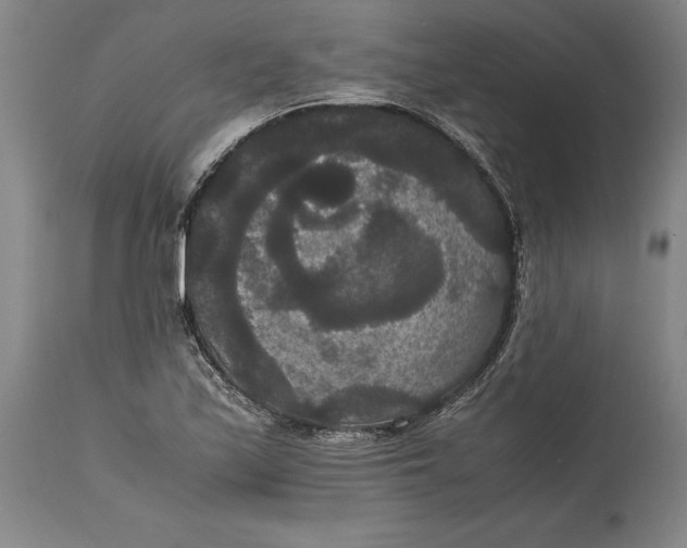 X0000114621171200911101208