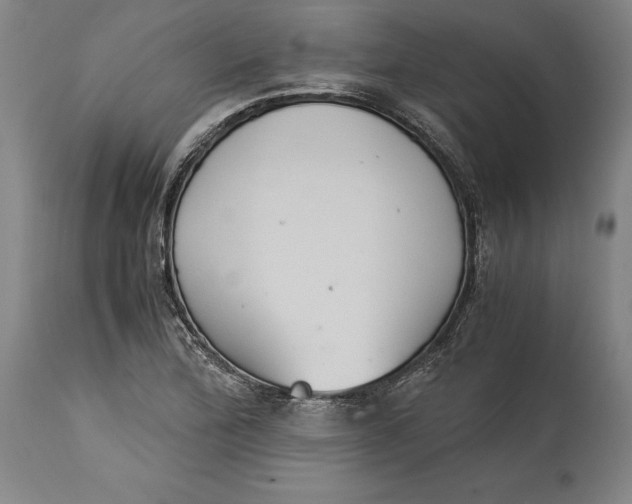 X0000114621172200911101208