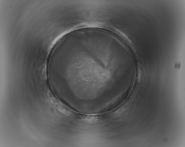 X0000114621174200911101208