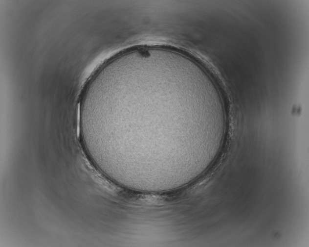 X0000114621175200911101208