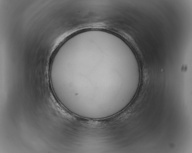 X0000114621176200911101208