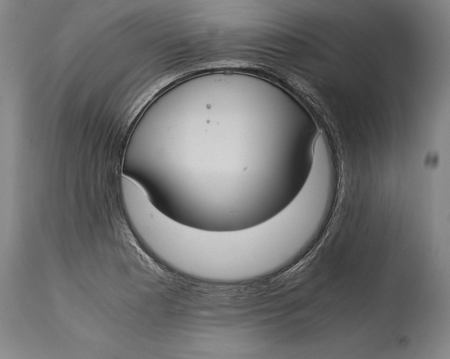X0000114621177200911101208