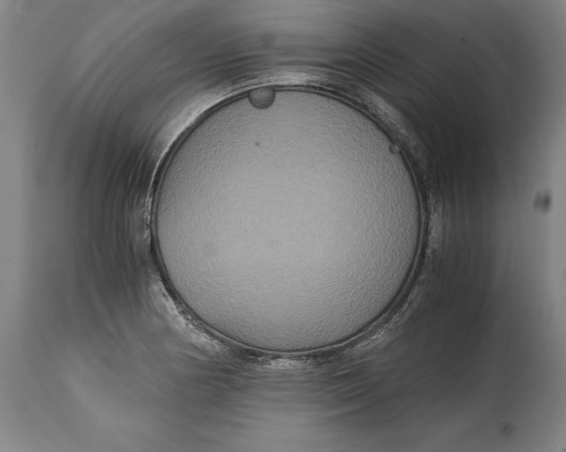 X0000114621178200911101208