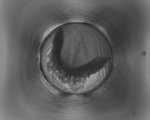 X0000114621179200911101208
