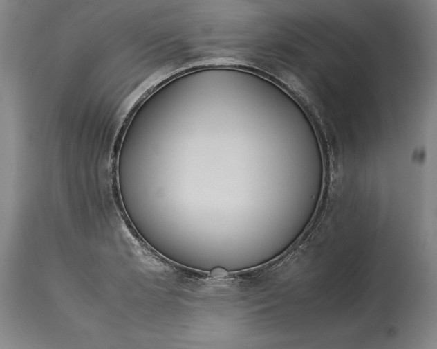 X0000114621181200911101208