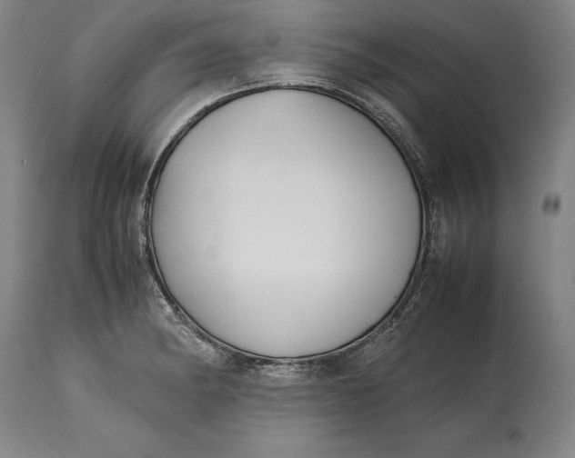 X0000114621182200911101208