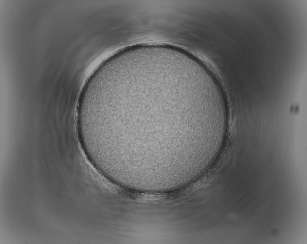 X0000114621183200911101208