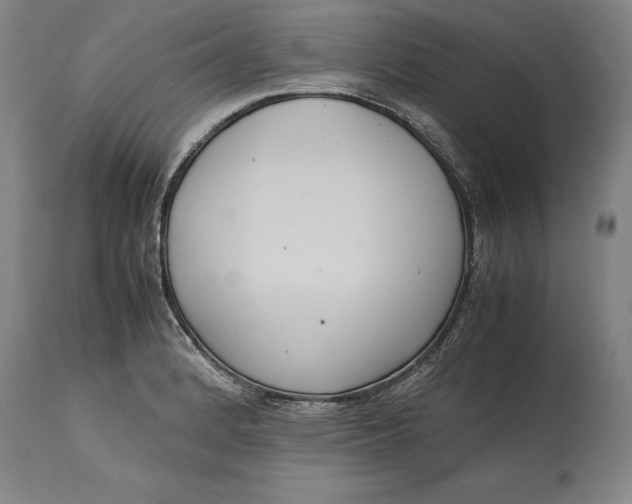 X0000114621184200911101208