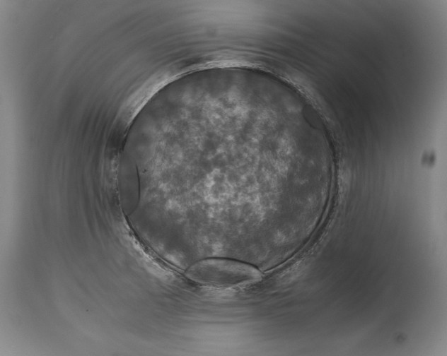 X0000114621185200911101208
