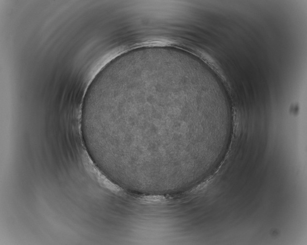 X0000114621186200911101208