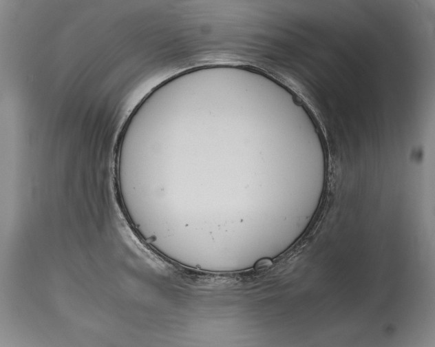 X0000114621187200911101208