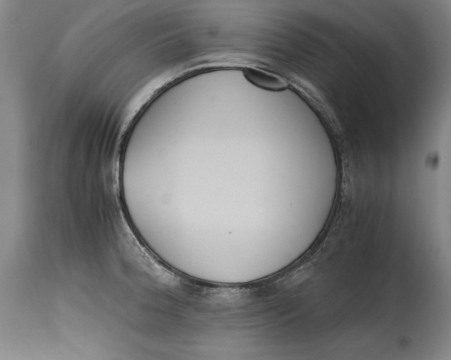 X0000114621188200911101208