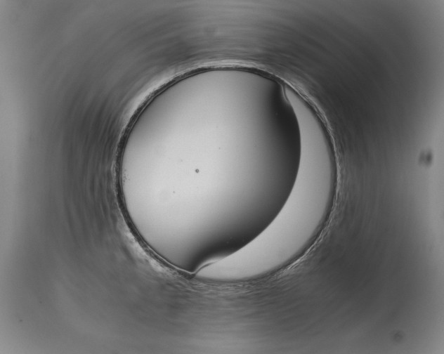 X0000114621189200911101208