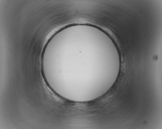 X0000114621191200911101208