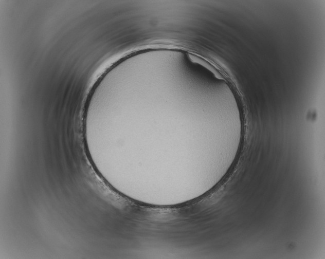 X0000114621192200911101208