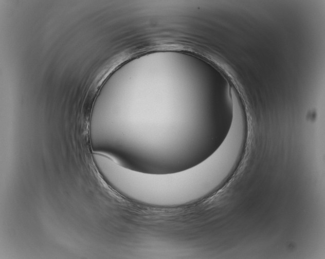 X0000114621193200911101208