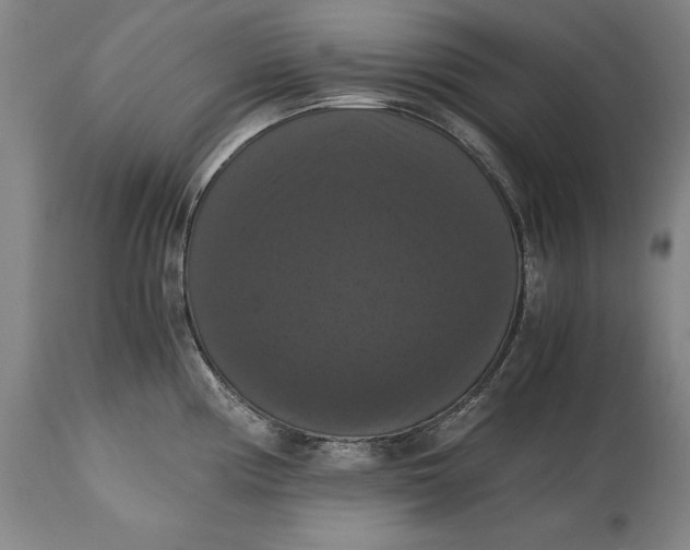 X0000114621194200911101208