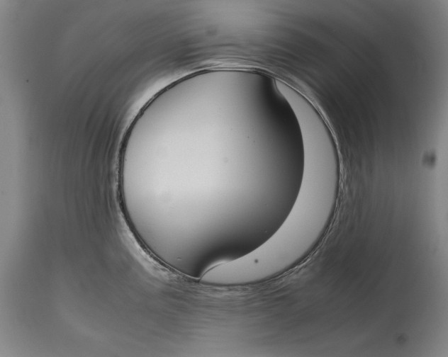 X0000114621195200911101208