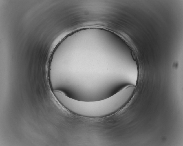 X0000114621196200911101208