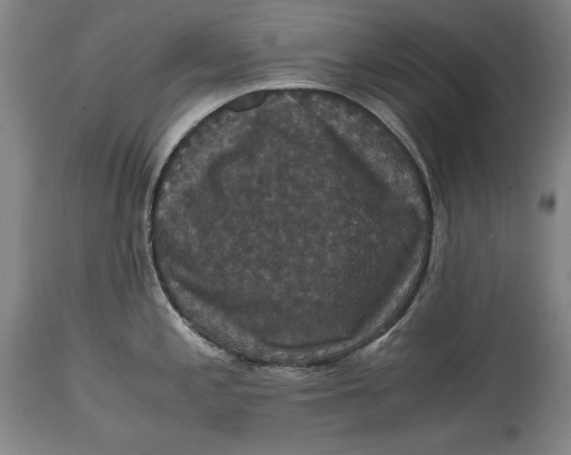 X0000114621197200911101208