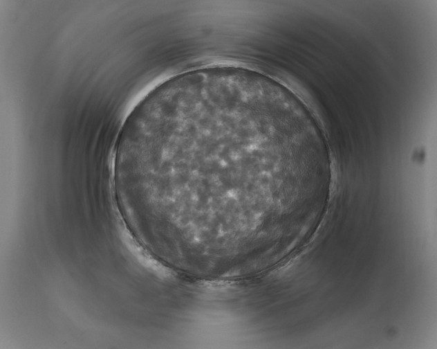 X0000114621198200911101207