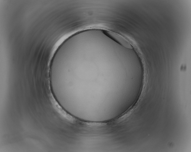 X0000114621200200911101207