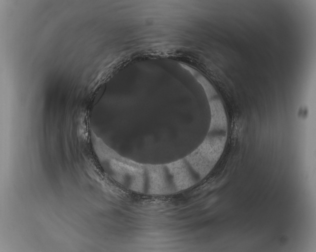 X0000114621202200911101207
