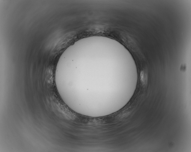 X0000114621203200911101207