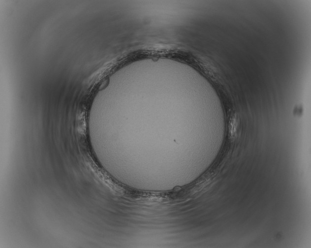 X0000114621204200911101207