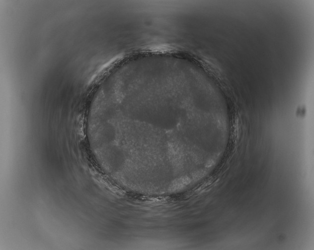 X0000114621205200911101207