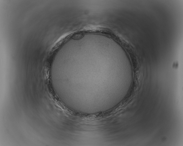 X0000114621206200911101207