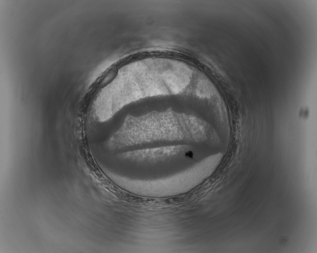 X0000114621208200911101207