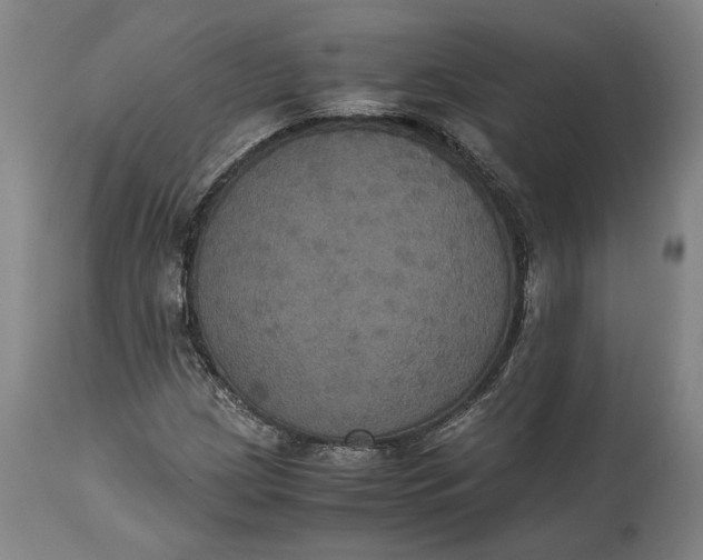 X0000114621209200911101207