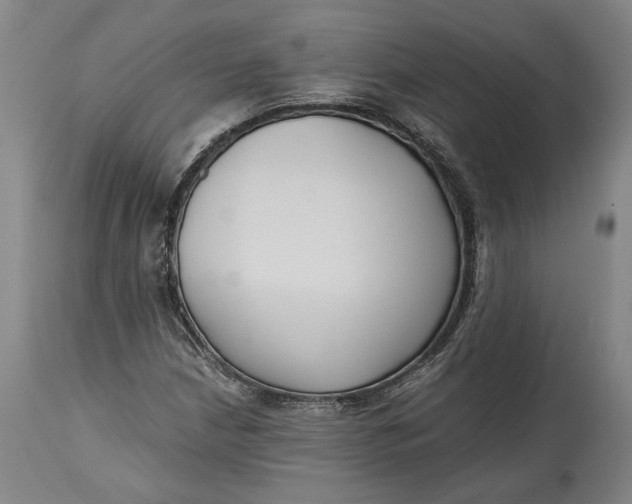 X0000114621210200911101207