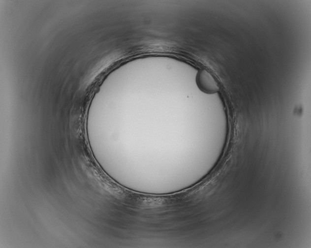 X0000114621211200911101207