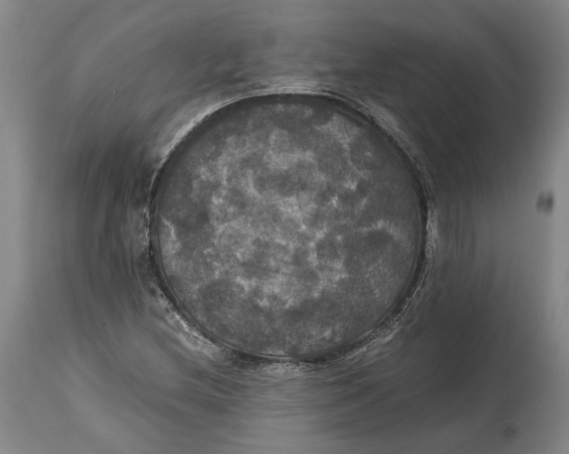X0000114621212200911101207