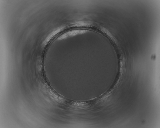 X0000114621213200911101207