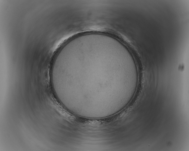 X0000114621214200911101207