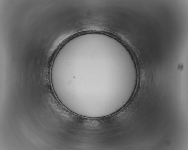 X0000114621215200911101207
