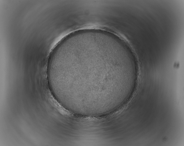 X0000114621216200911101207