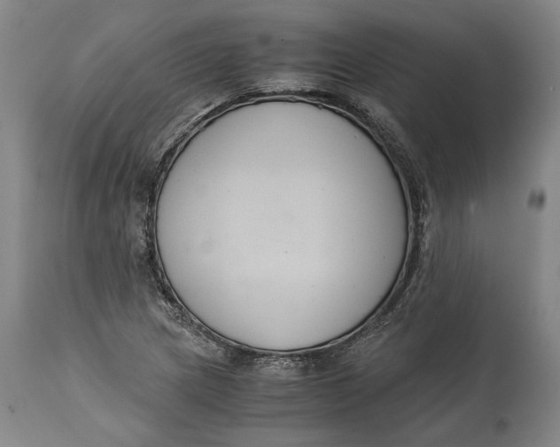 X0000114621217200911101207