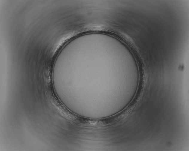X0000114621218200911101207